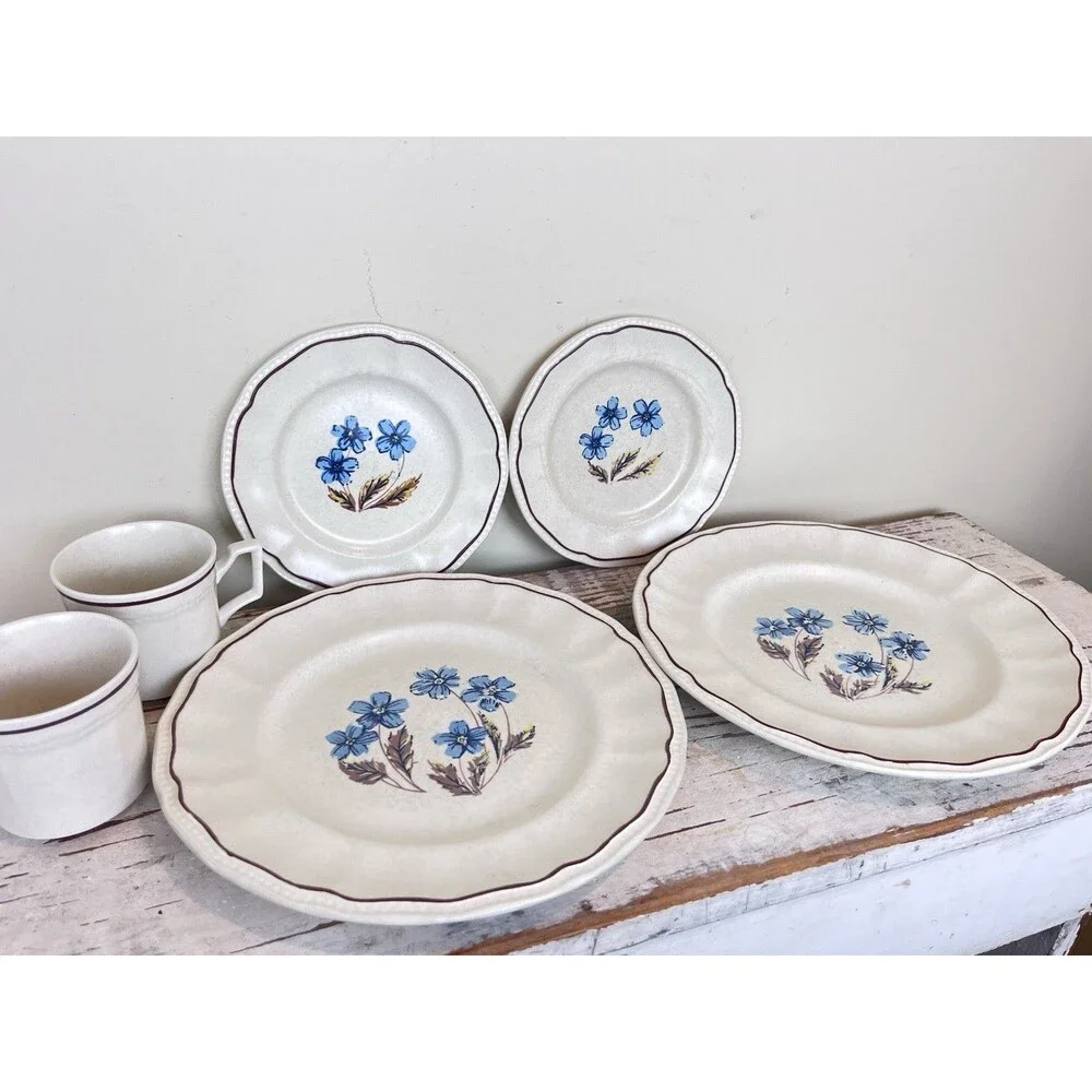 Vintage Kensington Staffordshire Ironstone Dinnerware Set Hyde Park